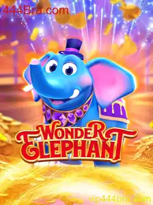 Descobrindo o Fascinante Mundo de WonderElephant
